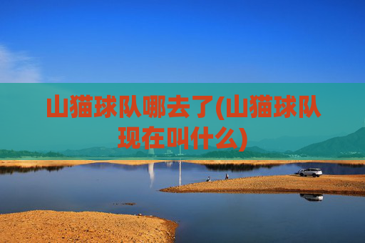山猫球队哪去了(山猫球队现在叫什么)