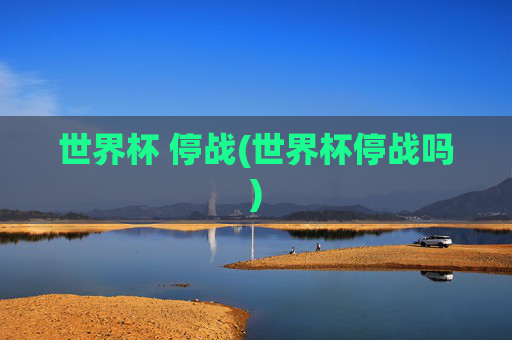世界杯 停战(世界杯停战吗)