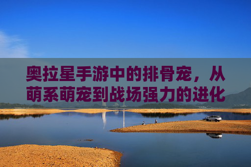 奥拉星手游中的排骨宠，从萌系萌宠到战场强力的进化之路，奥拉星手游排骨宠，从萌系萌宠到战场强力的进化之路