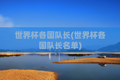 世界杯各国队长(世界杯各国队长名单)