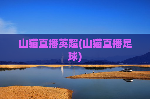 山猫直播英超(山猫直播足球)