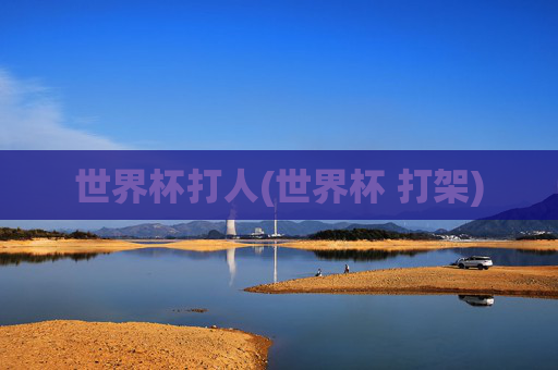 世界杯打人(世界杯 打架)