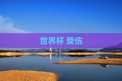 世界杯 受伤