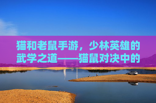 猫和老鼠手游,少林英雄的武学之道——猫鼠对决中的禅意与技巧,猫和老鼠手游,少林英雄的武学之道——猫鼠对决中的禅意与技巧