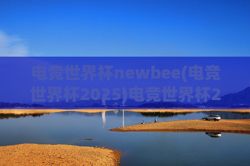 电竞世界杯newbee(电竞世界杯2025)电竞世界杯2025,Newbee的竞技征程与荣耀传承