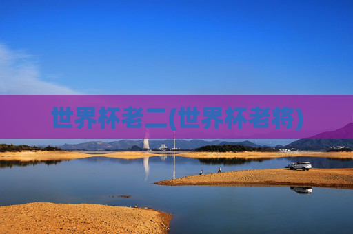 世界杯老二(世界杯老将)