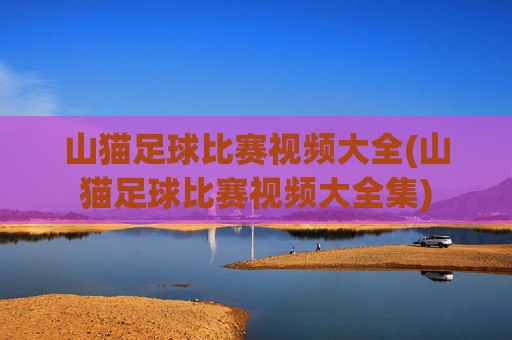 山猫足球比赛视频大全(山猫足球比赛视频大全集)