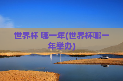 世界杯 哪一年(世界杯哪一年举办)