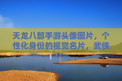 天龙八部手游头像图片，个性化身份的视觉名片，武侠风味的独特表达，天龙八部手游头像，个性化身份的视觉名片，彰显武侠韵味