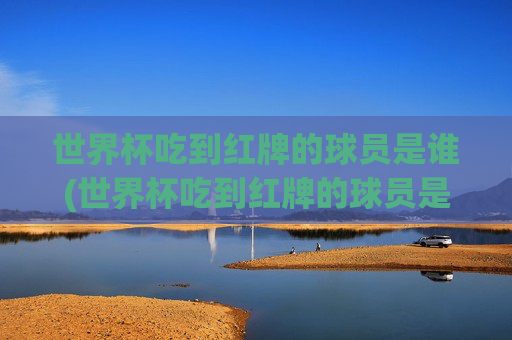 世界杯吃到红牌的球员是谁(世界杯吃到红牌的球员是谁啊)