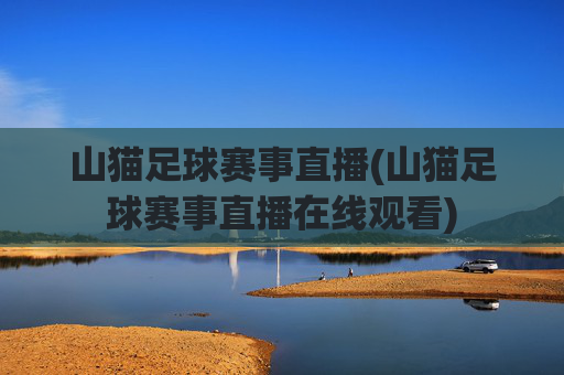山猫足球赛事直播(山猫足球赛事直播在线观看)