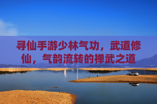 寻仙手游少林气功,武道修仙,气韵流转的禅武之道