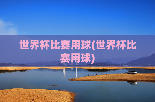 世界杯比赛用球(世界杯比赛用球)