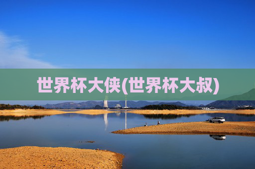 世界杯大侠(世界杯大叔)