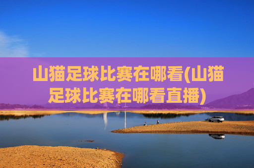 山猫足球比赛在哪看(山猫足球比赛在哪看直播)