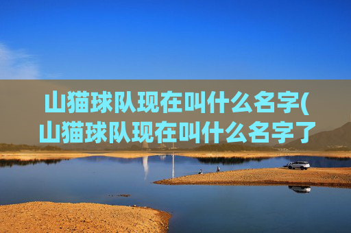 山猫球队现在叫什么名字(山猫球队现在叫什么名字了)
