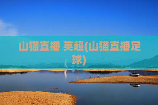 山猫直播 英超(山猫直播足球)