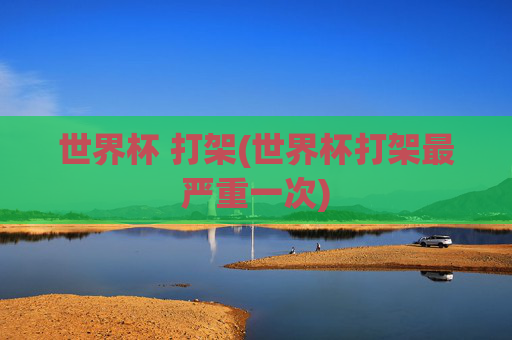 世界杯 打架(世界杯打架最严重一次)