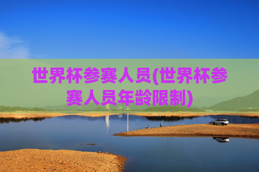 世界杯参赛人员(世界杯参赛人员年龄限制)