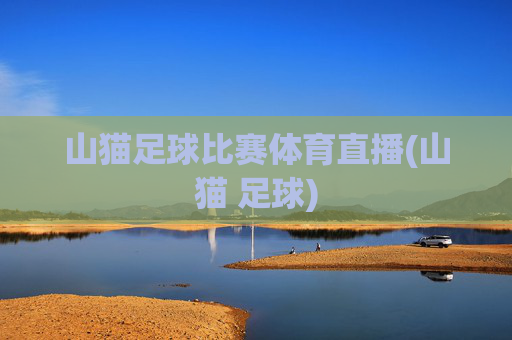 山猫足球比赛体育直播(山猫 足球)