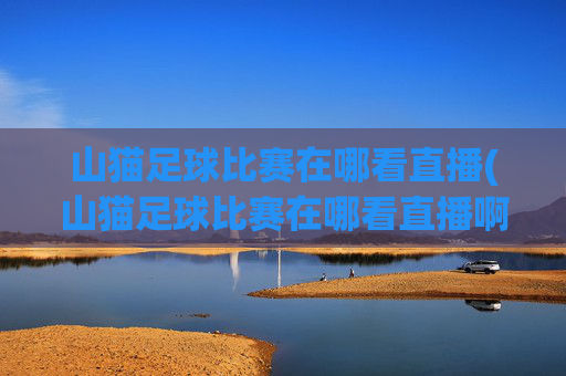 山猫足球比赛在哪看直播(山猫足球比赛在哪看直播啊)