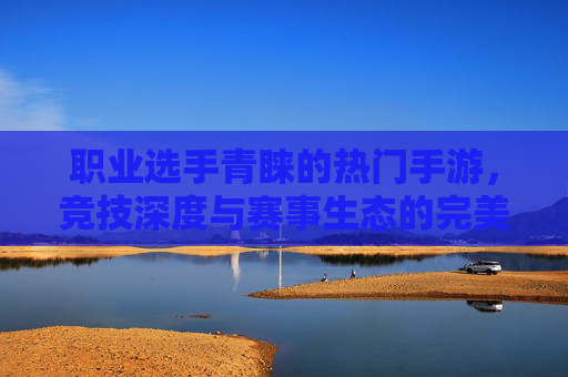 职业选手青睐的热门手游,竞技深度与赛事生态的完美融合,职业选手青睐的热门手游,竞技深度与赛事生态的完美融合