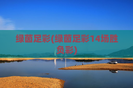 绿茵足彩(绿茵足彩14场胜负彩)