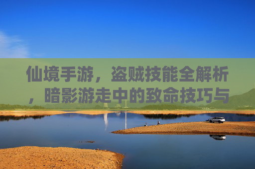 仙境手游,盗贼技能全解析,暗影游走中的致命技巧与玩法进阶指南