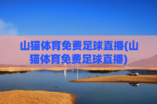 山猫体育免费足球直播(山猫体育免费足球直播)