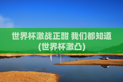 世界杯激战正酣 我们都知道(世界杯激凸)