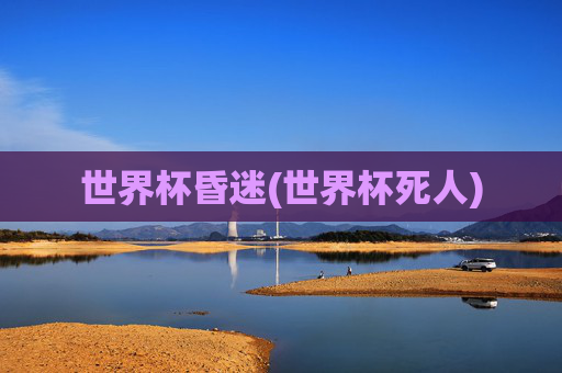 世界杯昏迷(世界杯死人)