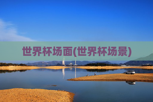 世界杯场面(世界杯场景)