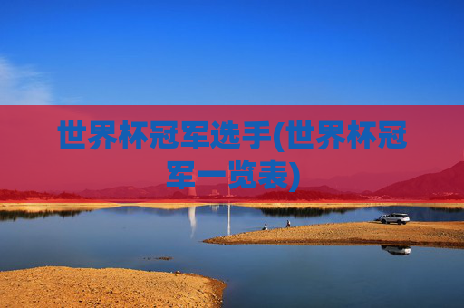 世界杯冠军选手(世界杯冠军一览表)