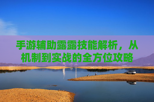 手游辅助露露技能解析，从机制到实战的全方位攻略