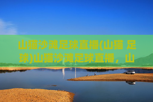 山猫沙滩足球直播(山猫 足球)山猫沙滩足球直播,山猫足球赛事实时观看