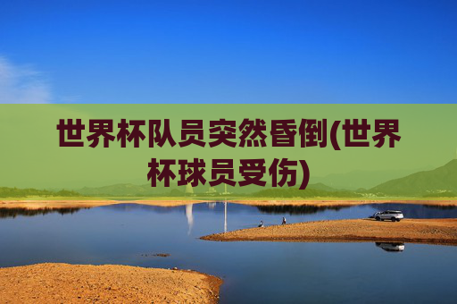 世界杯队员突然昏倒(世界杯球员受伤)