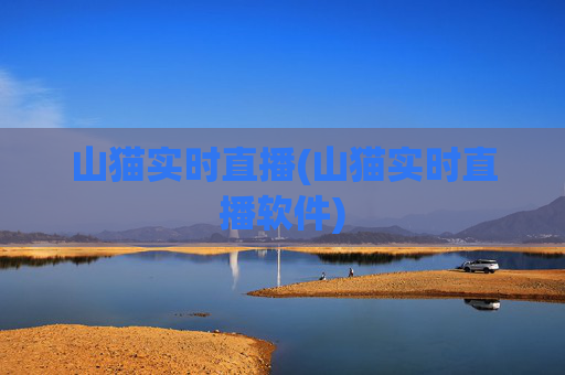 山猫实时直播(山猫实时直播软件)