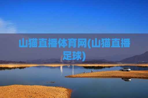 山猫直播体育网(山猫直播足球)