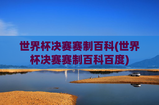世界杯决赛赛制百科(世界杯决赛赛制百科百度)