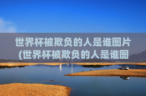 世界杯被欺负的人是谁图片(世界杯被欺负的人是谁图片大全)