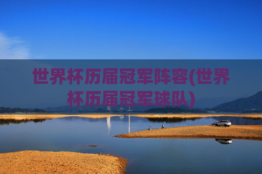 世界杯历届冠军阵容(世界杯历届冠军球队)