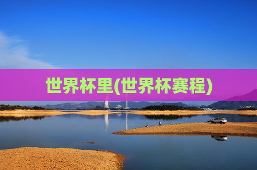 世界杯里(世界杯赛程)