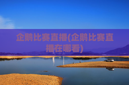 企鹅比赛直播(企鹅比赛直播在哪看)