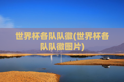 世界杯各队队徽(世界杯各队队徽图片)