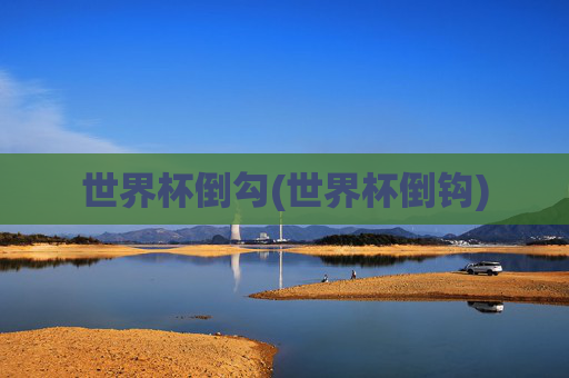 世界杯倒勾(世界杯倒钩)