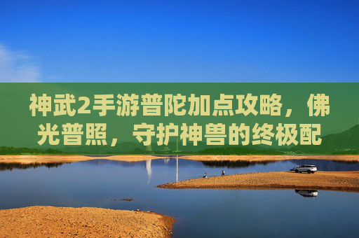 神武2手游普陀加点攻略，佛光普照，守护神兽的终极配置