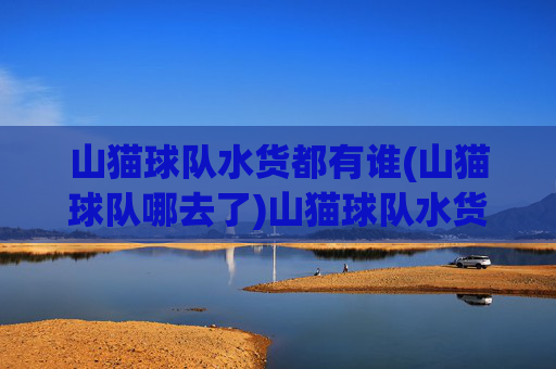 山猫球队水货都有谁(山猫球队哪去了)山猫球队水货都有谁？球队去向解析