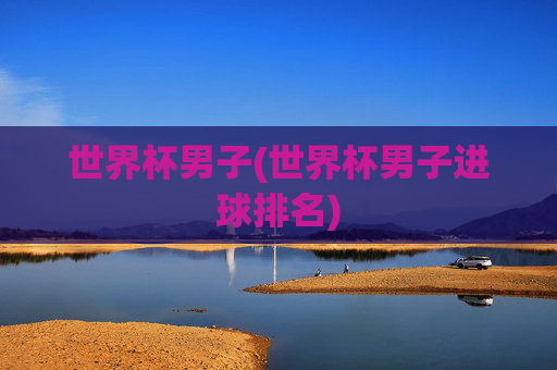 世界杯男子(世界杯男子进球排名)