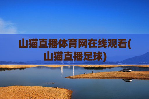 山猫直播体育网在线观看(山猫直播足球)