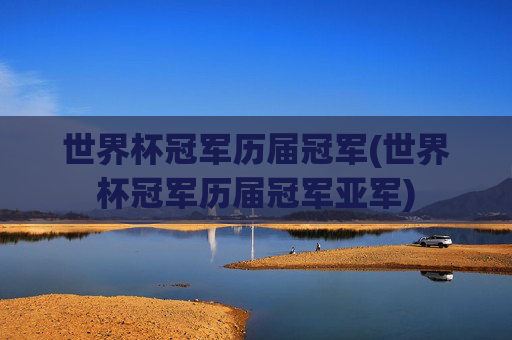 世界杯冠军历届冠军(世界杯冠军历届冠军亚军)